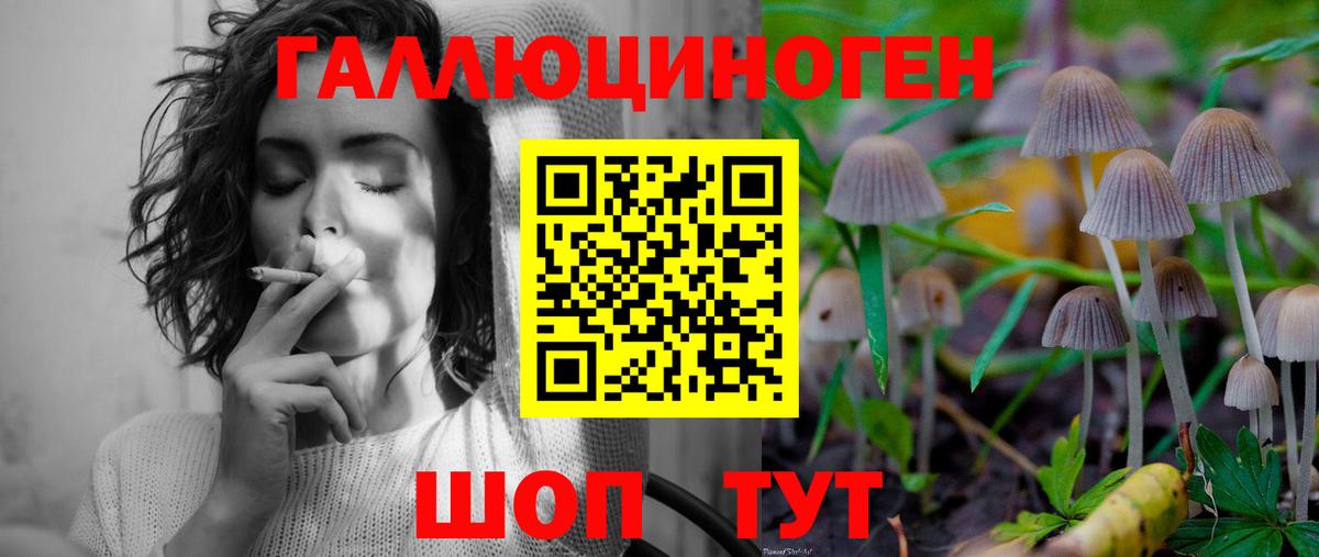 Псилоцибиновые грибы Psilocybine cubensis  Вход с VPN  Саров 
